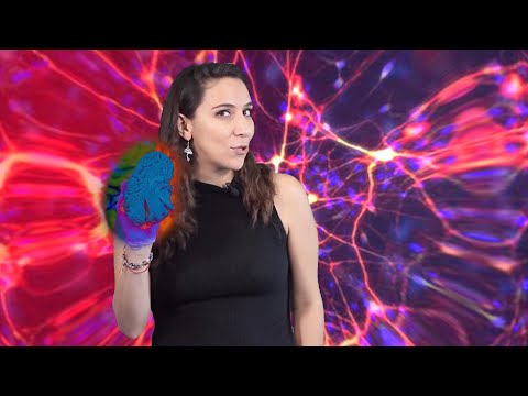 Descubre la ciencia del cerebro de un bailarín